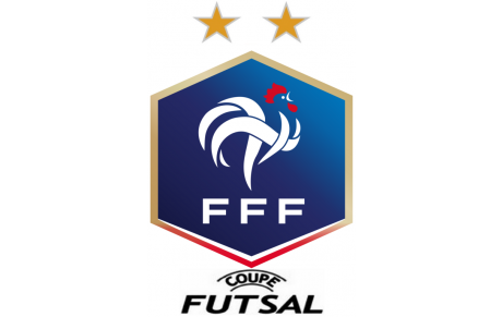 Coupe du District 93 de Futsal catégorie U11